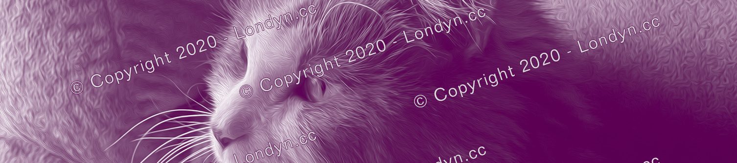 Londyn (londynsworld.com)